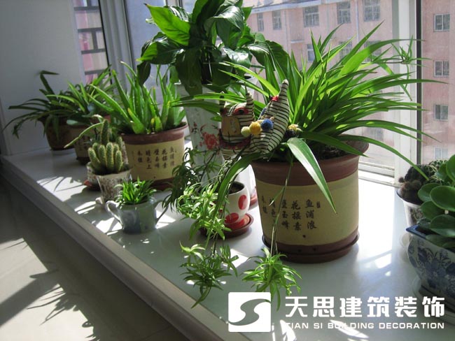 合肥装修真人十大半岛导航(官方)网站-网页版web登录入口/手机IOS/Android最新版入口-首页